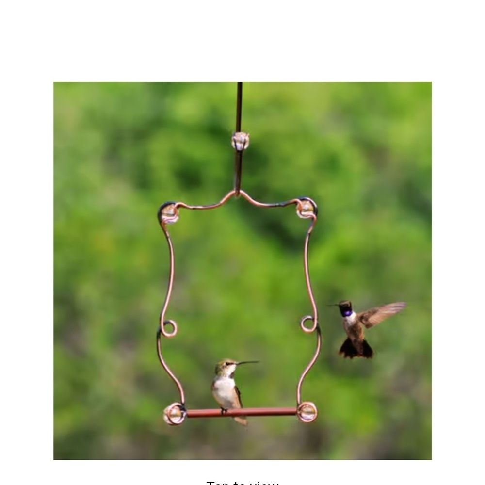 Elegant Copper Bird Swing